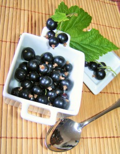 blackcurrants in dish