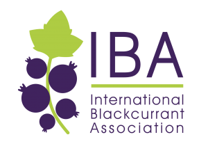 logo_iba_couleurs