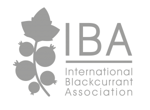 logo_iba_gris