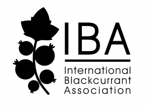 logo_iba_noir