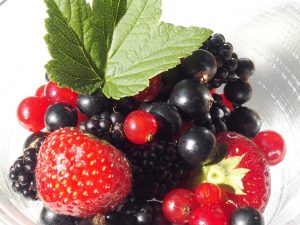 cup of several berries, including blackcurrants and a blackcurrant leave