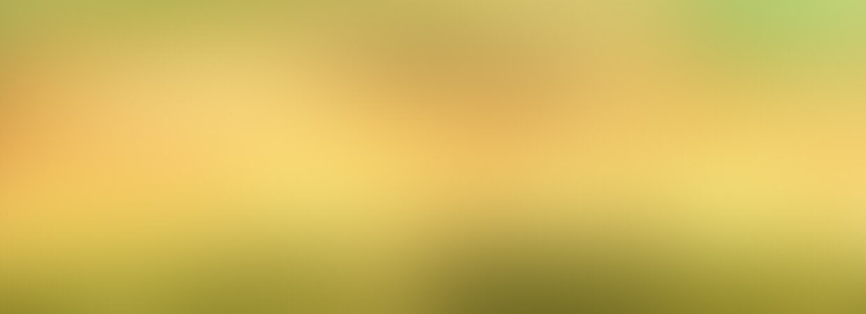 Attachment image