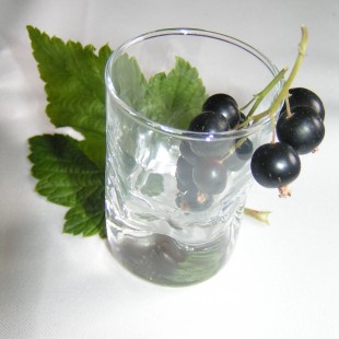 Innovative blackcurrant product competition