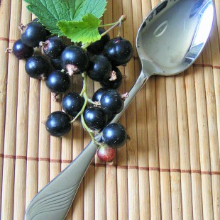 BLACKCURRANT ICE CREAM ON STICKS