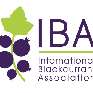A new logo for the IBA