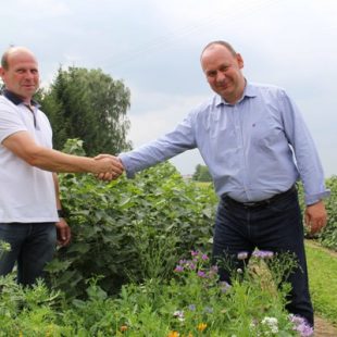 Food Chain Partnership – The Polish blackcurrant project with Bayer