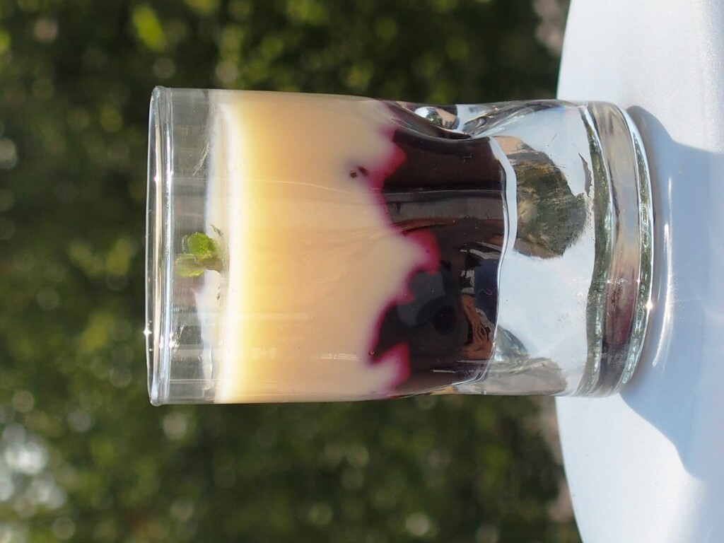 glass garnished with white chocolate panna cotta and blackcurrant compote basis