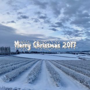 Christmas 2017 message from IBA President Anthony Snell