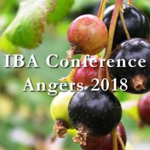 International Blackcurrant Conference 2018: registrations now open