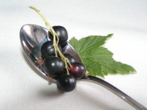small spoon with blackcurrants in it