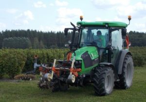 tractor doing weeding in the Krogzeme farm