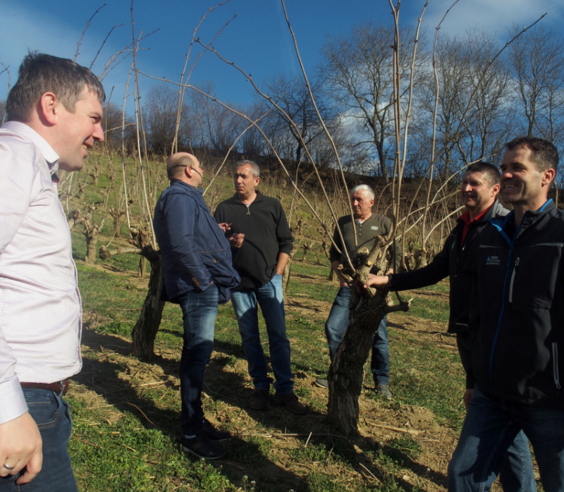 Stefan Lampl (Manager of StBoG) standing in an elderberry plantation with members of the Styrian berry cooperative and IBA Exec members