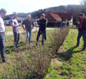 IBA Exec members and StBoG blackcurrant growers standing in a blackcurrant field