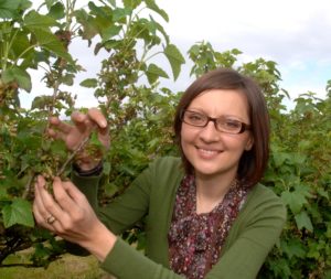 Dr Dorota Jarret close to a blackcurrant bush. She is in charge of a research programme for climate-resilient blackcurrant varieties.