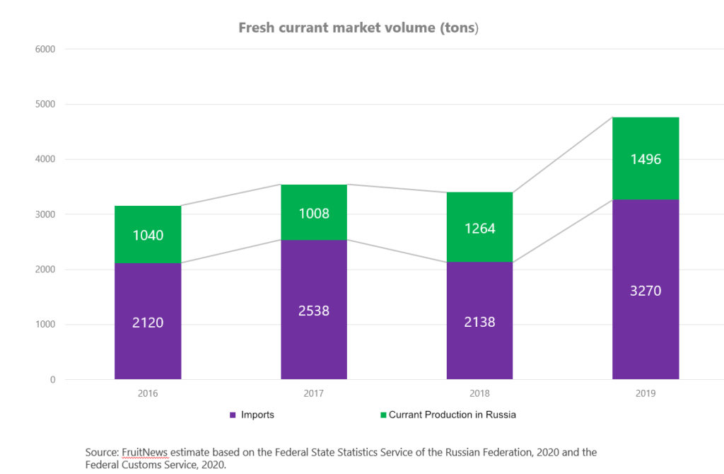 Graphic for the development of blackcurrant imports in Russia