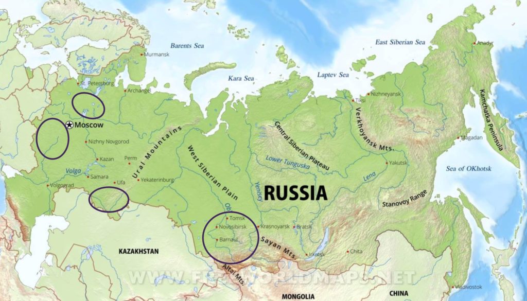 physical map of Russia showing the main blackcurrant growing areas