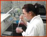 woman working in a laboratory forblackcurrant varietal research