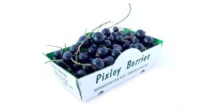 bunnet of blackcurrants from Pixley Berries