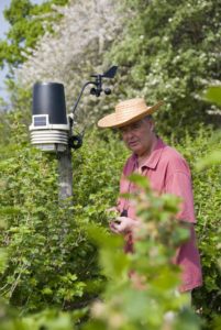 Edward Thompson standing in a blackcurrant field