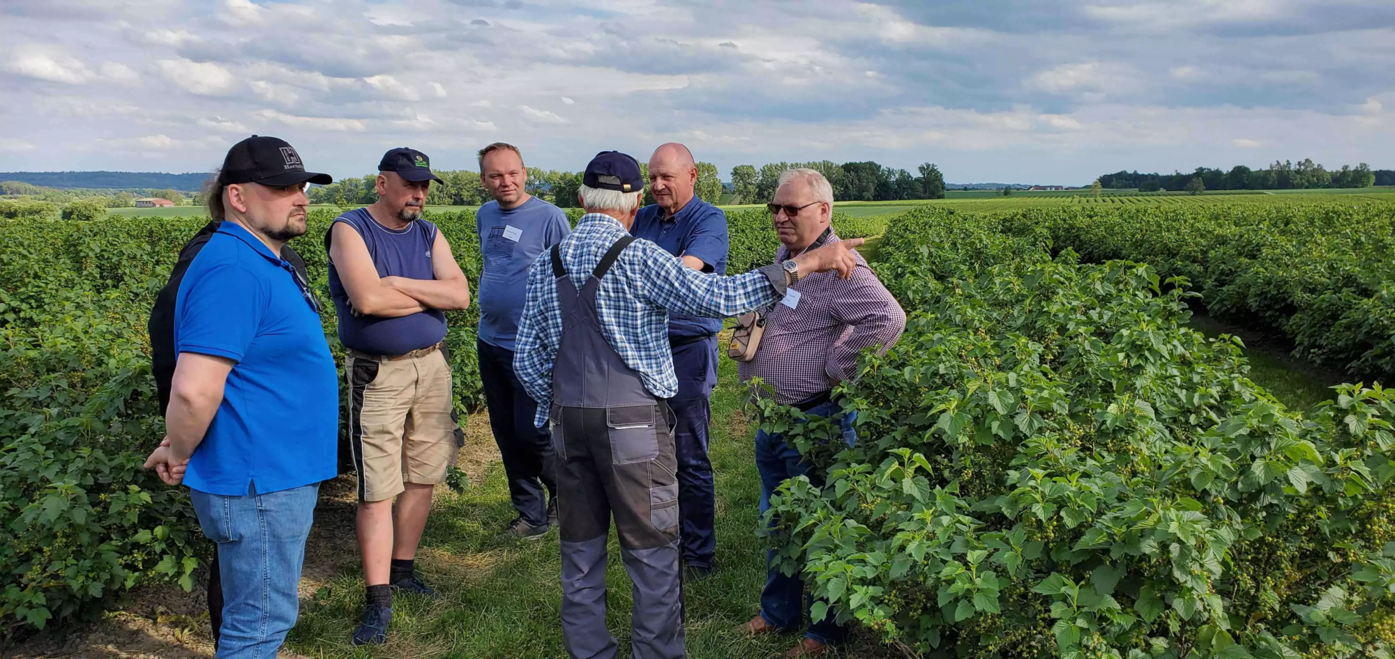Group of blackcurrant growers and industry members in a field, discussing and collaborating, representing the global support and funding of the International Blackcurrant Association (IBA).