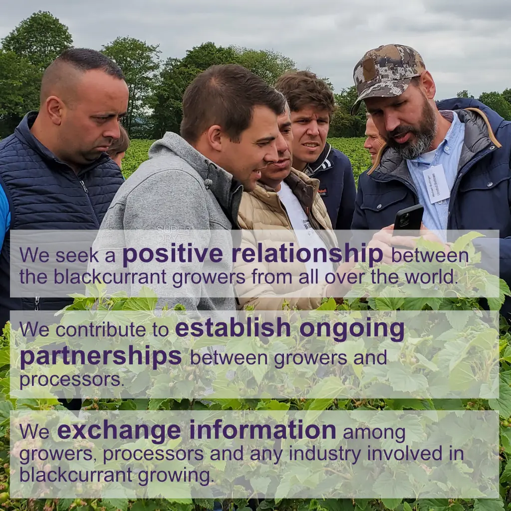 Group of blackcurrant growers and industry professionals exchanging information in a blackcurrant field.