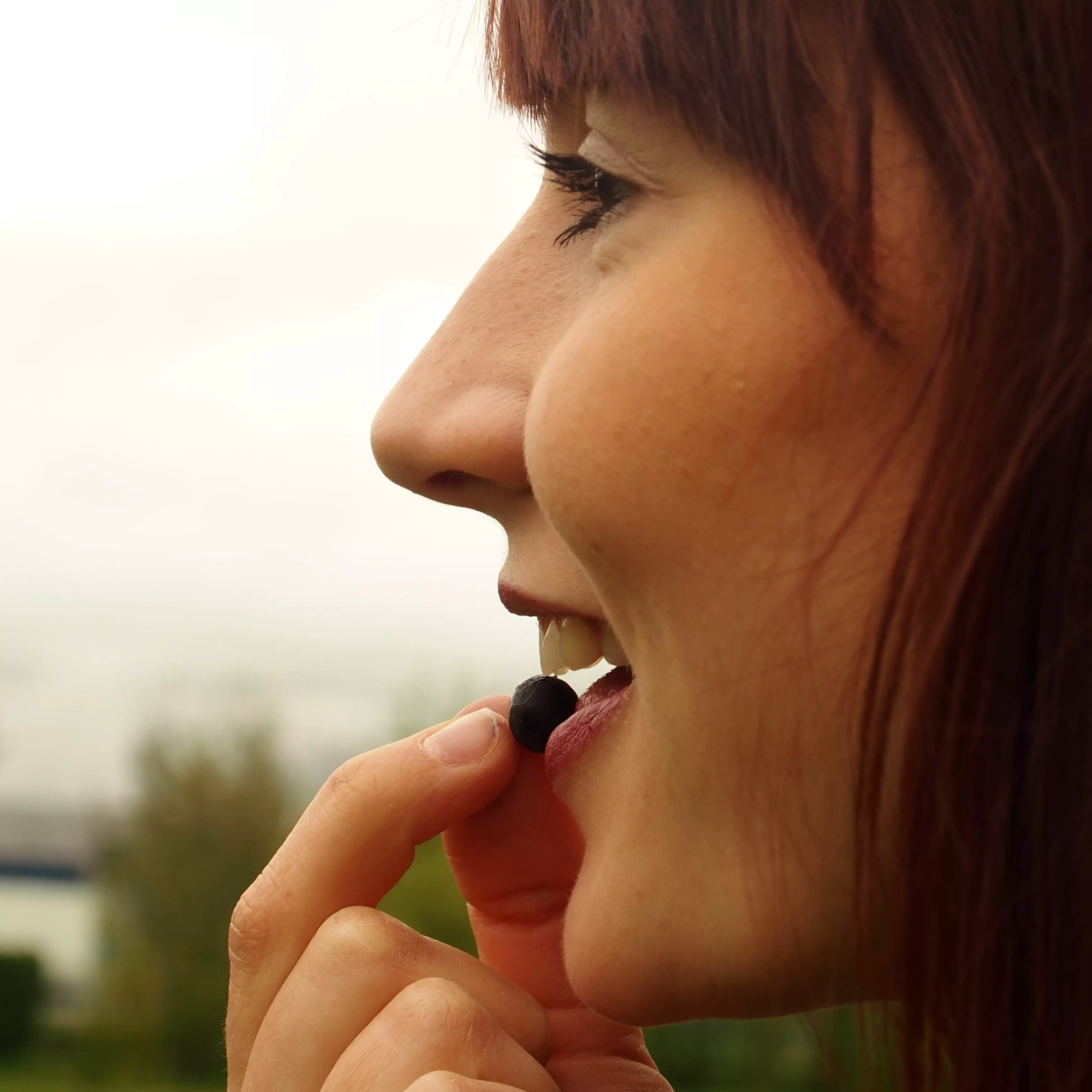 blackcurrants_eating_2